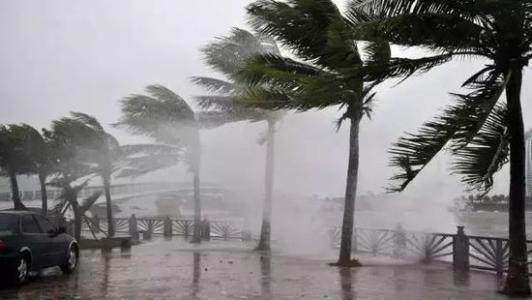 8月臺風雨即將來，除濕機還得用起來