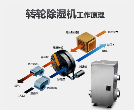 加濕器與除濕機(jī)：生活中更需要哪一個(gè)？