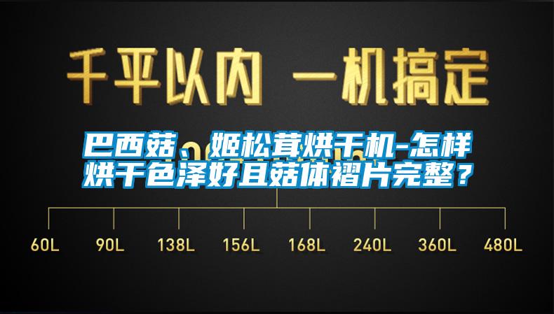 巴西菇、姬松茸烘干機-怎樣烘干色澤好且菇體褶片完整？