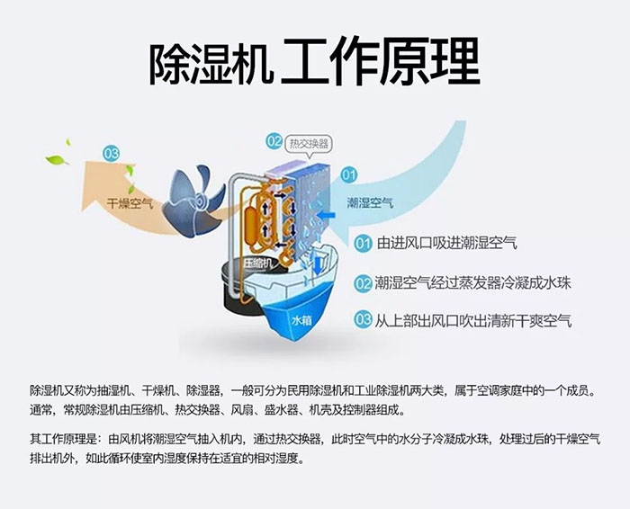 潮濕天氣狗最容易患上這種毛??！三個(gè)注意事項(xiàng)，鏟屎官一定要看看