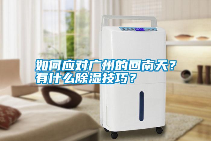 如何應(yīng)對廣州的回南天？有什么除濕技巧？