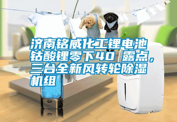 濟(jì)南銘威化工鋰電池鈷酸鋰零下40℃露點(diǎn)，三臺(tái)全新風(fēng)轉(zhuǎn)輪除濕機(jī)組