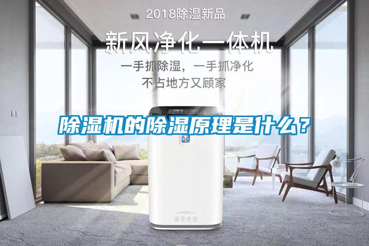 除濕機的除濕原理是什么？