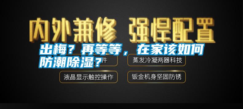 出梅？再等等，在家該如何防潮除濕？