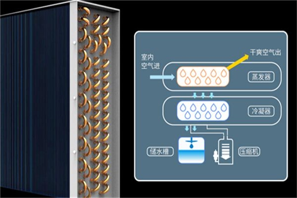 新風除濕機怎么樣