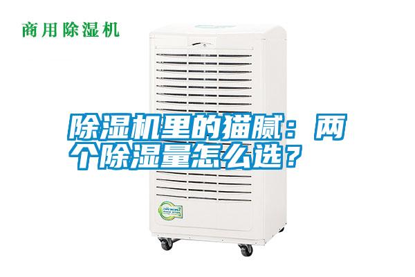 除濕機(jī)里的貓膩：兩個(gè)除濕量怎么選？