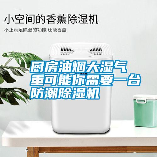 廚房油煙大濕氣重可能你需要一臺防潮除濕機