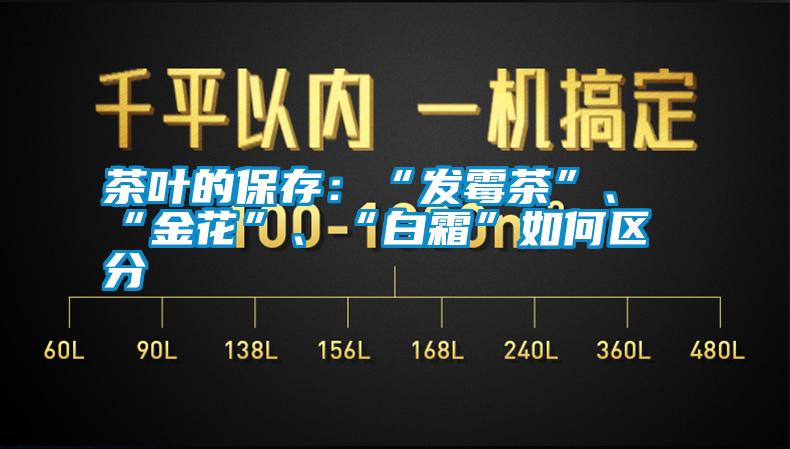 茶葉的保存：“發(fā)霉茶”、“金花”、“白霜”如何區(qū)分