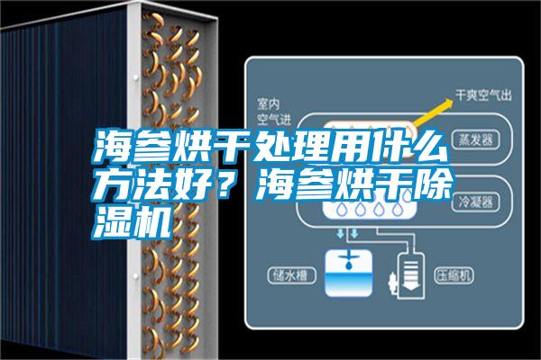 海參烘干處理用什么方法好？海參烘干除濕機