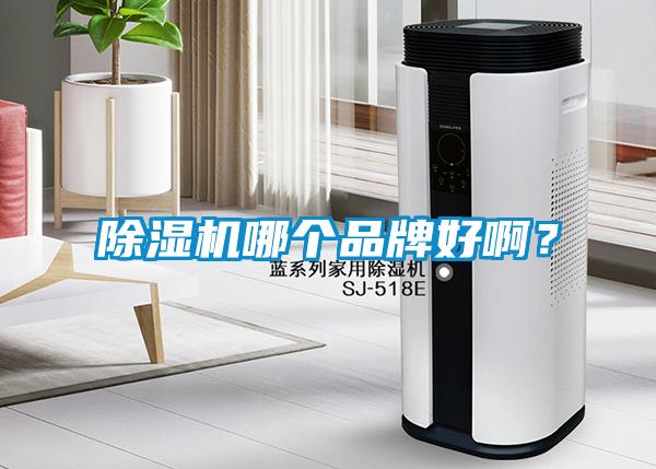 除濕機哪個品牌好?。?></div>
								<div   id=