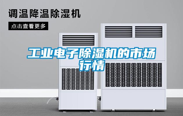 工業(yè)電子除濕機的市場行情