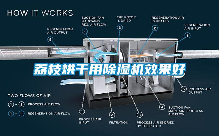 荔枝烘干用除濕機(jī)效果好