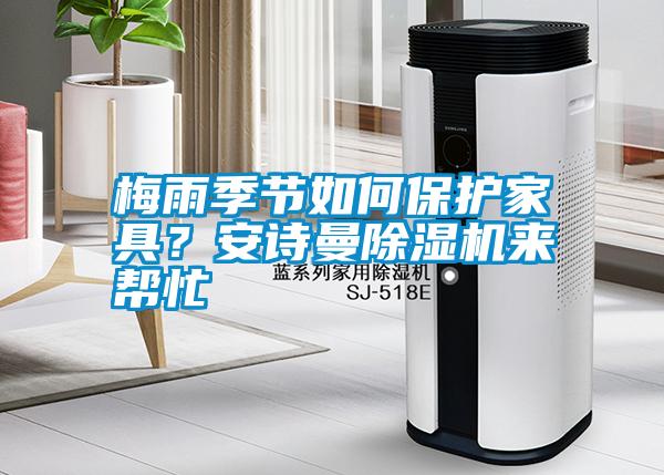 梅雨季節(jié)如何保護(hù)家具？安詩(shī)曼除濕機(jī)來幫忙