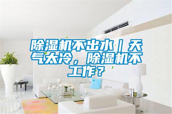 除濕機不出水｜天氣太冷，除濕機不工作？