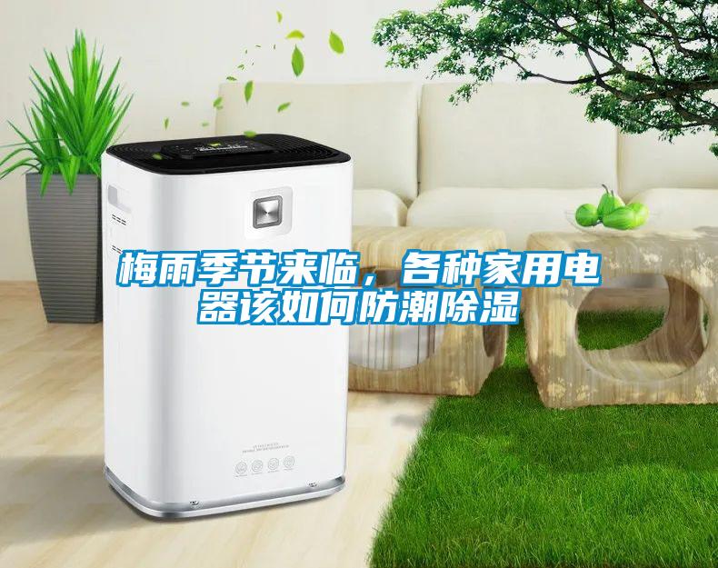 梅雨季節(jié)來(lái)臨，各種家用電器該如何防潮除濕