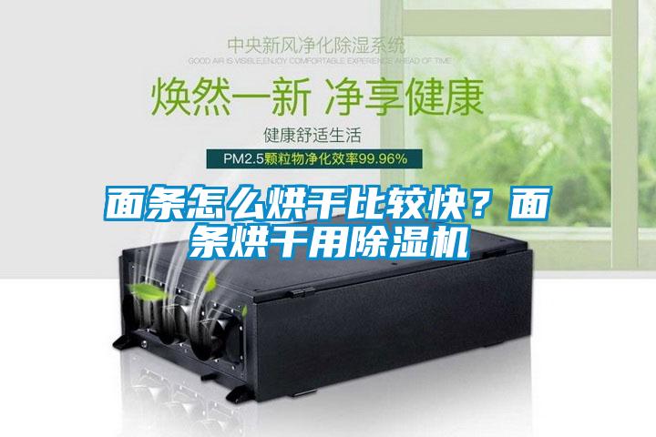 面條怎么烘干比較快？面條烘干用除濕機