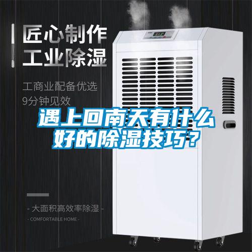 遇上回南天有什么好的除濕技巧？