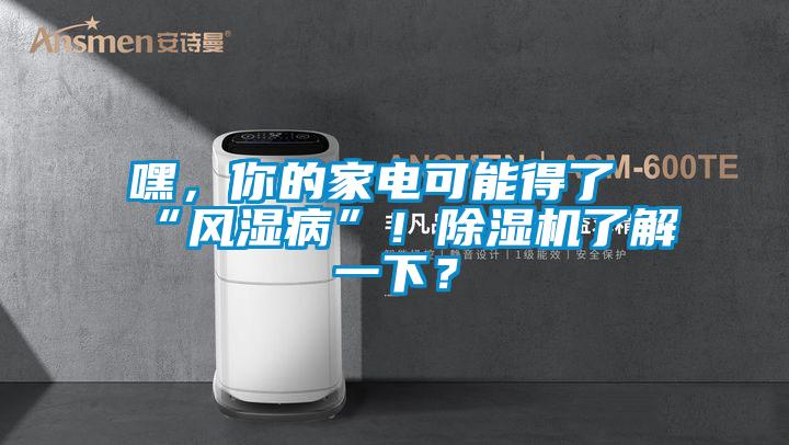 嘿，你的家電可能得了“風濕病”！除濕機了解一下？