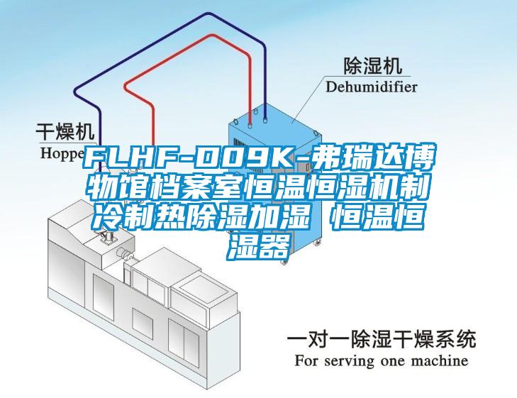 FLHF-D09K-弗瑞達博物館檔案室恒溫恒濕機制冷制熱除濕加濕 恒溫恒濕器