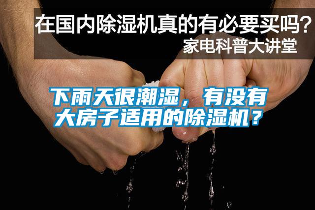 下雨天很潮濕，有沒有大房子適用的除濕機？