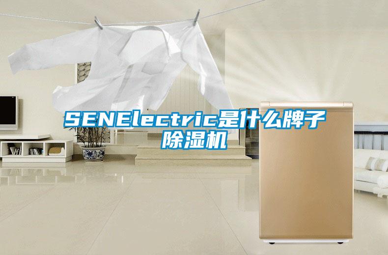 SENElectric是什么牌子除濕機