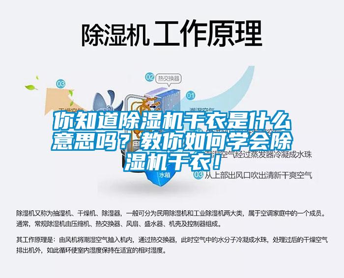 你知道除濕機干衣是什么意思嗎？教你如何學(xué)會除濕機干衣！