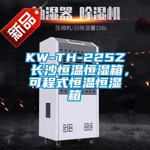 KW-TH-225Z 長(zhǎng)沙恒溫恒濕箱，可程式恒溫恒濕箱