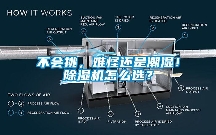 不會挑，難怪還是潮濕！除濕機(jī)怎么選？