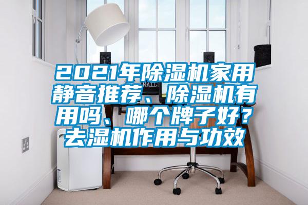 2021年除濕機(jī)家用靜音推薦、除濕機(jī)有用嗎、哪個(gè)牌子好？去濕機(jī)作用與功效