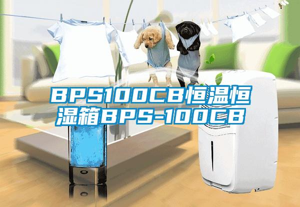 BPS100CB恒溫恒濕箱BPS-100CB