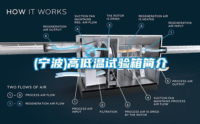 (寧波)高低溫試驗(yàn)箱簡(jiǎn)介