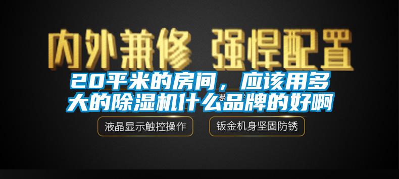 20平米的房間，應(yīng)該用多大的除濕機(jī)什么品牌的好啊