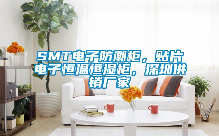 SMT電子防潮柜，貼片電子恒溫恒濕柜，深圳供銷廠家