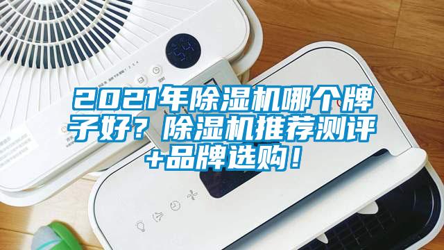 2021年除濕機(jī)哪個牌子好？除濕機(jī)推薦測評+品牌選購！