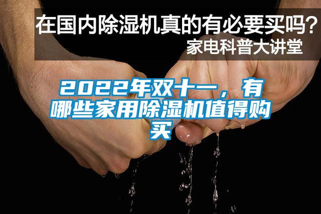 2022年雙十一，有哪些家用除濕機(jī)值得購買