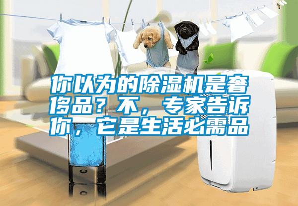 你以為的除濕機是奢侈品？不，專家告訴你，它是生活必需品