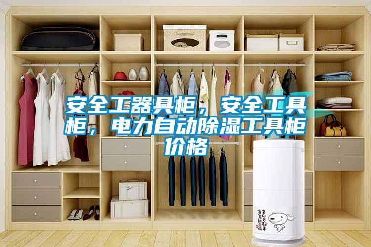 安全工器具柜，安全工具柜，電力自動(dòng)除濕工具柜價(jià)格