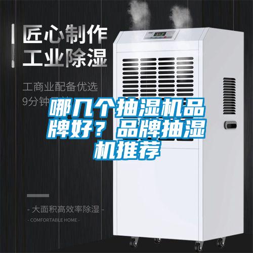 哪幾個抽濕機品牌好？品牌抽濕機推薦