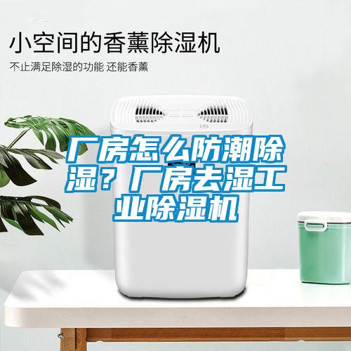 廠房怎么防潮除濕？廠房去濕工業(yè)除濕機(jī)