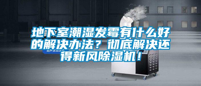 地下室潮濕發(fā)霉有什么好的解決辦法？徹底解決還得新風(fēng)除濕機(jī)！