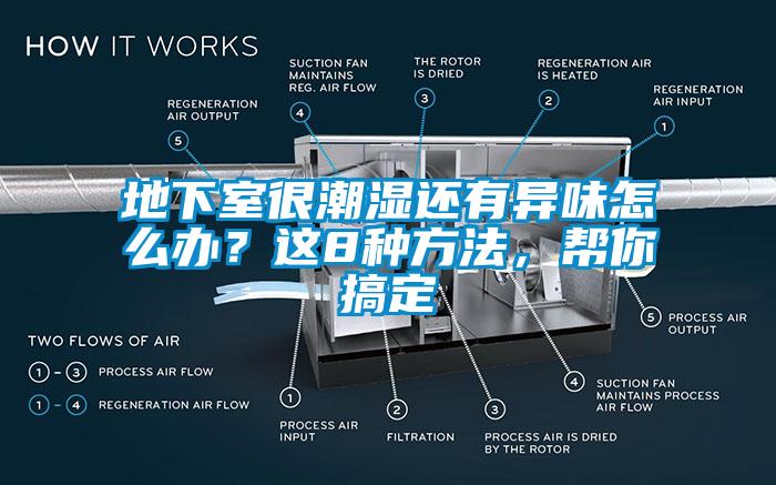 地下室很潮濕還有異味怎么辦？這8種方法，幫你搞定