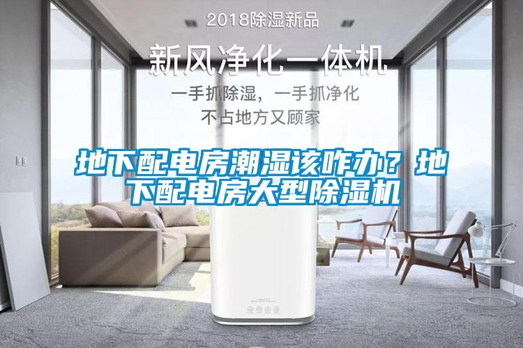 地下配電房潮濕該咋辦？地下配電房大型除濕機