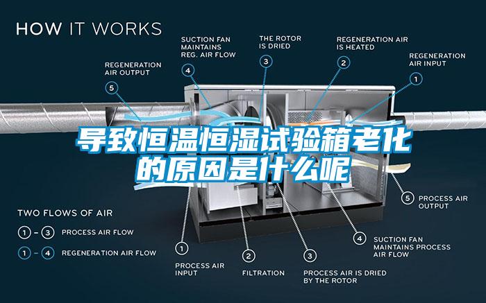 導致恒溫恒濕試驗箱老化的原因是什么呢