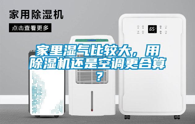 家里濕氣比較大，用除濕機還是空調更合算？