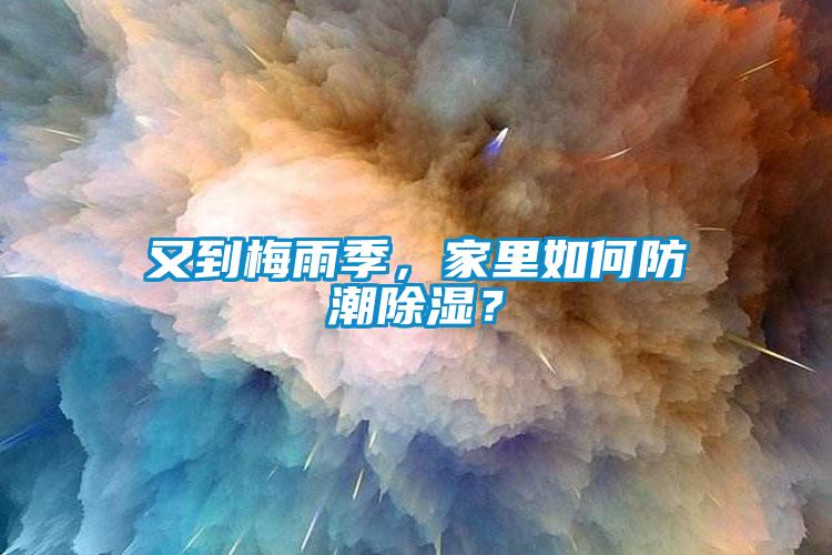 又到梅雨季，家里如何防潮除濕？