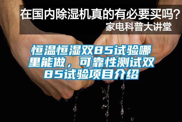 恒溫恒濕雙85試驗?zāi)睦锬茏觯煽啃詼y試雙85試驗項目介紹