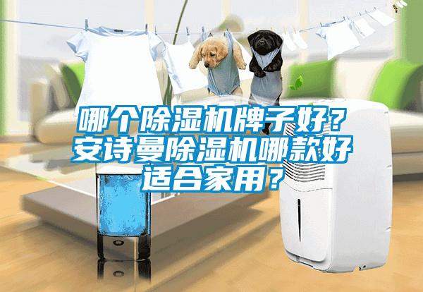 哪個除濕機牌子好？安詩曼除濕機哪款好適合家用？