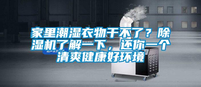 家里潮濕衣物干不了？除濕機了解一下，還你一個清爽健康好環(huán)境