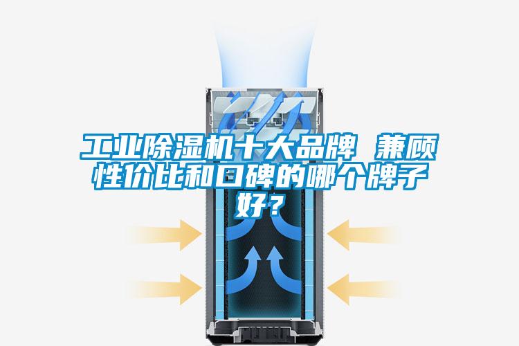 工業(yè)除濕機十大品牌 兼顧性價比和口碑的哪個牌子好？