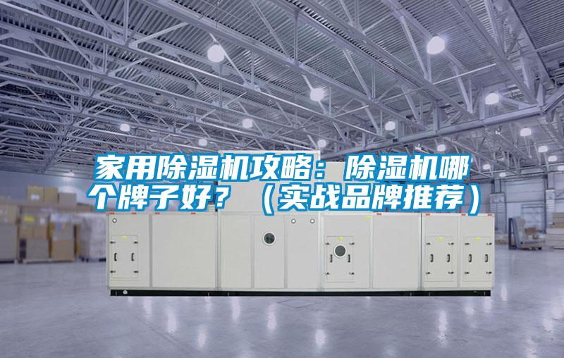 家用除濕機攻略：除濕機哪個牌子好？（實戰(zhàn)品牌推薦）